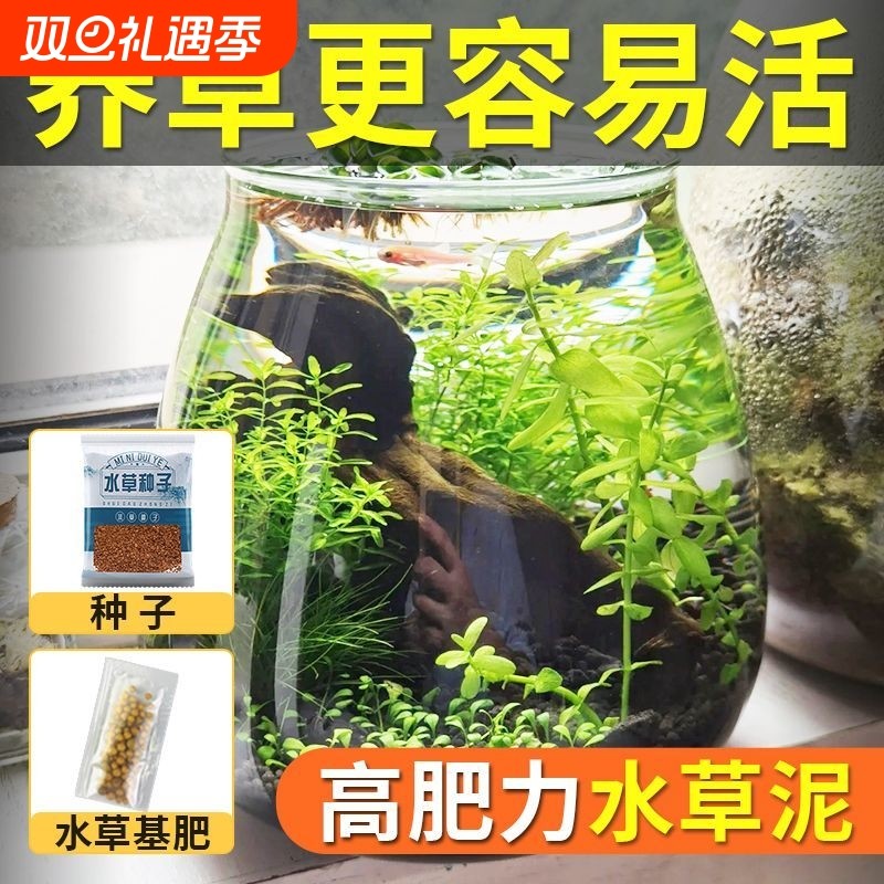 不浑水送种子水草泥陶粒砂鱼缸造景底砂底沙水族箱石头砂石景观