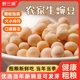 干豌豆粒干货5斤新鲜白豌豆米发豆芽专用重庆小面豌杂面豌豆新货