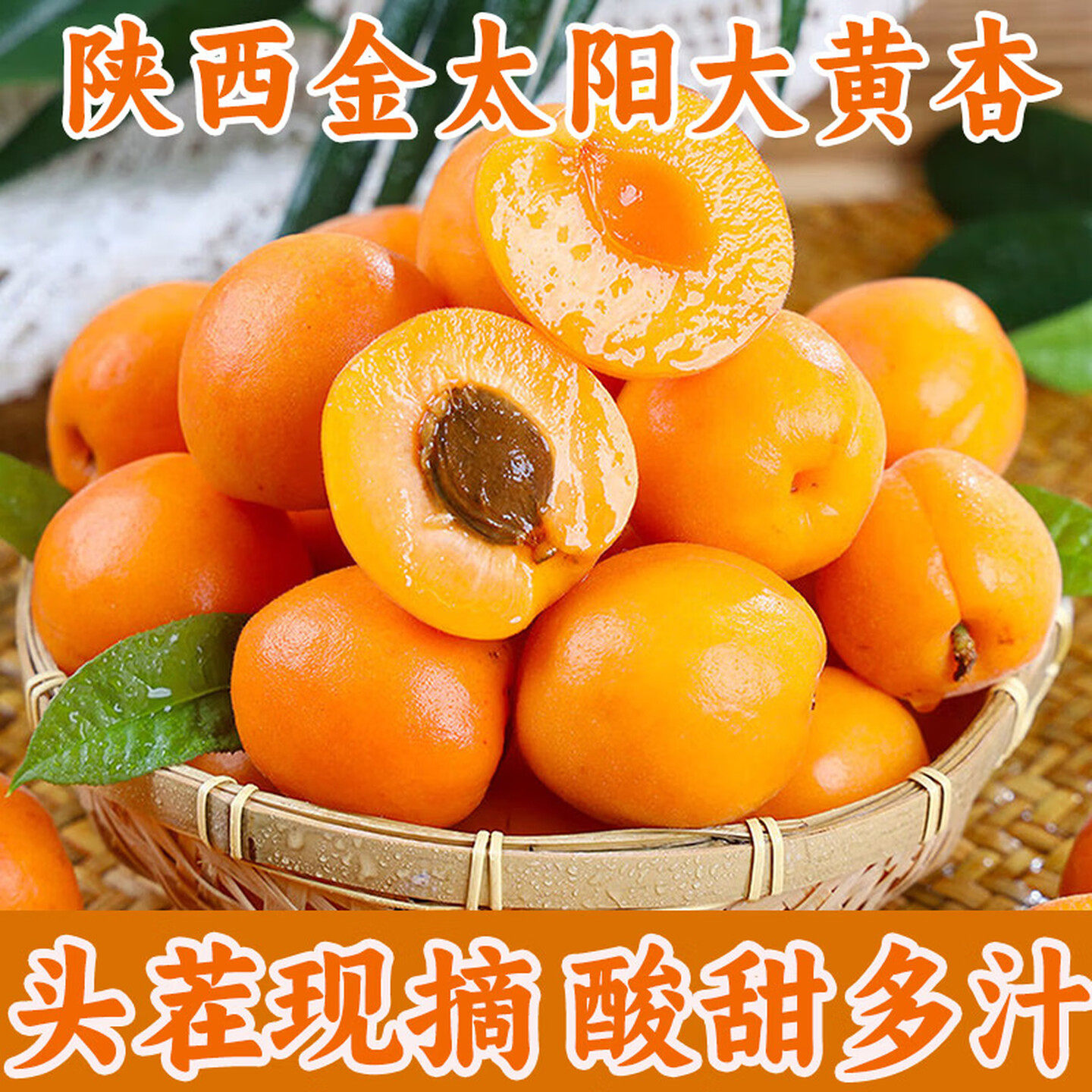 陕西正宗金太阳大黄杏头茬现摘酸甜凯特新鲜应季时令孕妇水果整箱