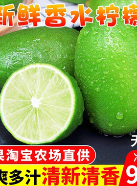 广东香水柠檬新鲜一级果应当季水果海无籽南青柠檬奶茶店专用9斤