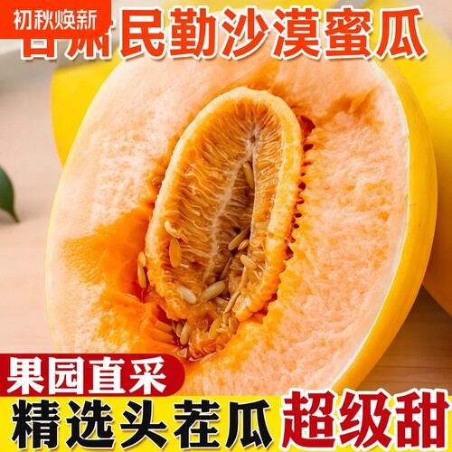 甘肃民勤黄河蜜瓜甜瓜哈密瓜新鲜水果香瓜整箱包邮现摘大果脆甜