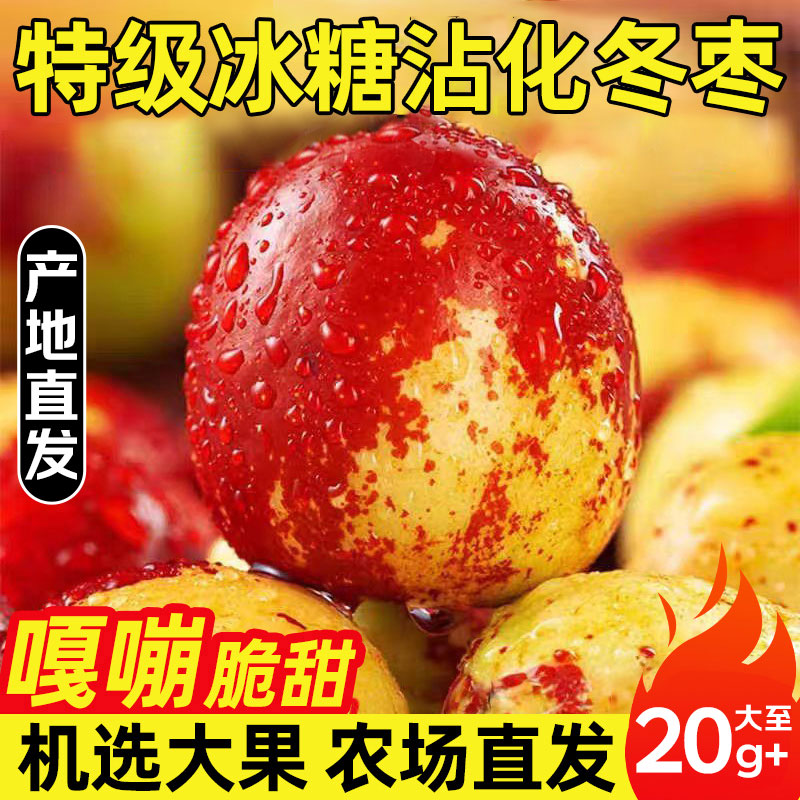 正宗山东沾化冬枣新鲜应当季水果礼盒脆甜枣子大整箱5斤产地直发