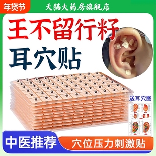 王不留行籽耳穴贴中医理疗穴位耳贴耳豆防敏磁珠模型压力刺激贴zz