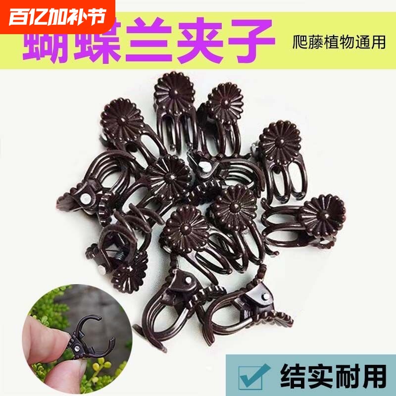 蝴蝶兰花夹花卉绿植固定夹爬藤固定塑料夹子专用爬藤花卉夹支撑杆