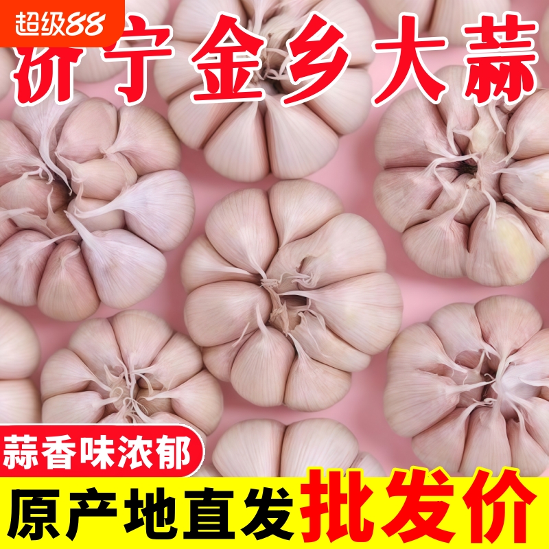 特级紫皮干蒜批发|7天热卖上千件