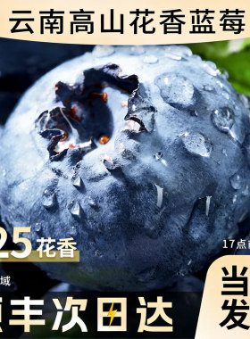 云南蓝莓JD物流次日达L25花香高山超大果新鲜水果甄选自提鲜果
