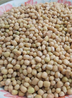 贵州小豆新豆米酸菜豆米