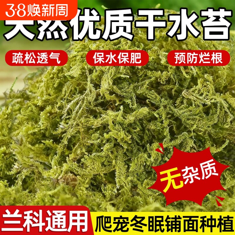 新鲜干苔藓蝴蝶兰花专用水苔青苔铁皮兰花种植育苗营养土爬宠垫材