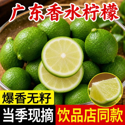 广东无籽香水柠檬新鲜现摘水果青柠檬奶茶店专用一级二级果皮薄