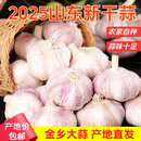 产地直发山东蒜紫皮大蒜头干蒜批发2025年新蒜头农家蒜头干大蒜