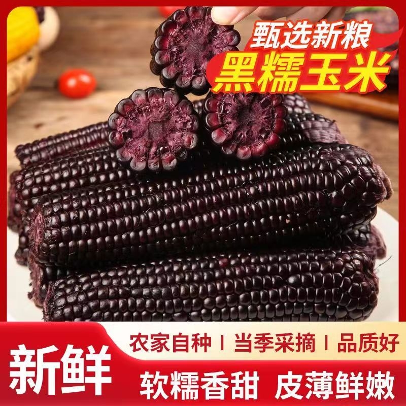 黑糯玉米真空装|107人收藏