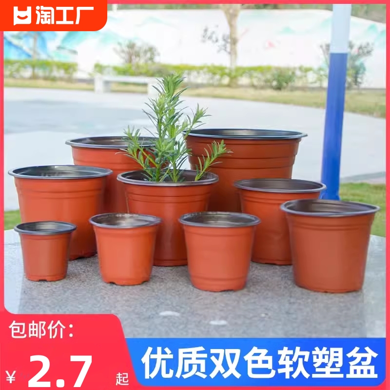 双色花盆插扦种植育苗营养钵塑料一次性加厚园艺绿植盆多肉盆培育 鲜花速递/花卉仿真/绿植园艺 育苗盘/营养钵 原图主图