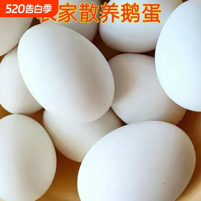 农家散养土鹅蛋新鲜生态鹅蛋现捡现发孕妇宝宝大鹅蛋营养健康