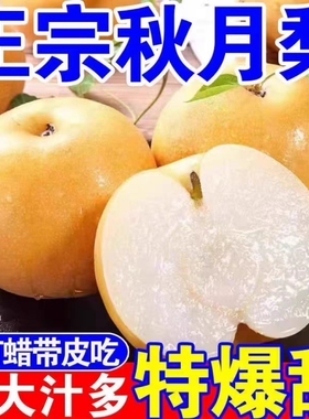 【热卖】正宗梨子冰糖秋月梨爆甜新鲜雪梨蜜梨黄皮梨当季现摘水果