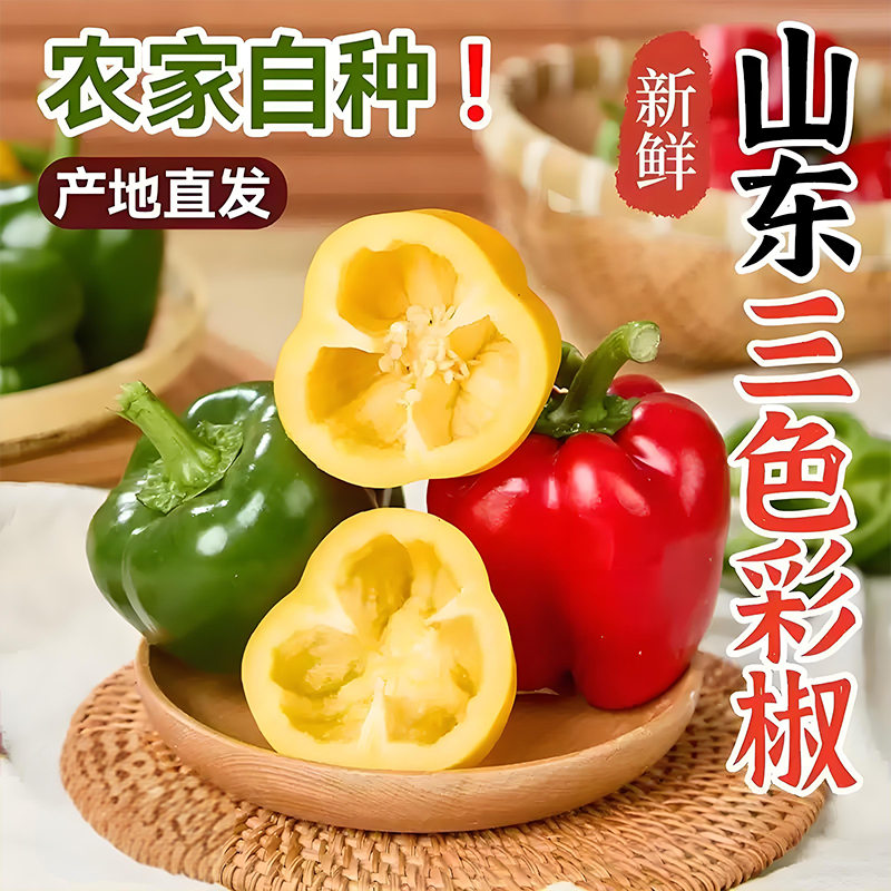 山东新鲜水果彩椒脆甜不辣生吃五彩红黄绿彩椒灯笼椒圆辣椒