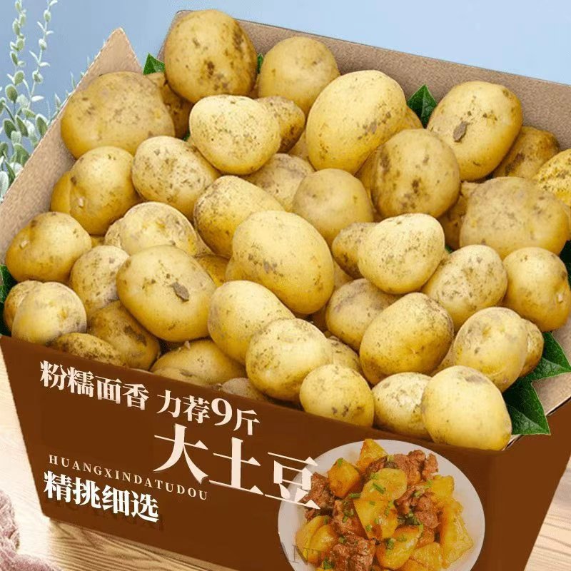 土豆农家自种新鲜土豆图片