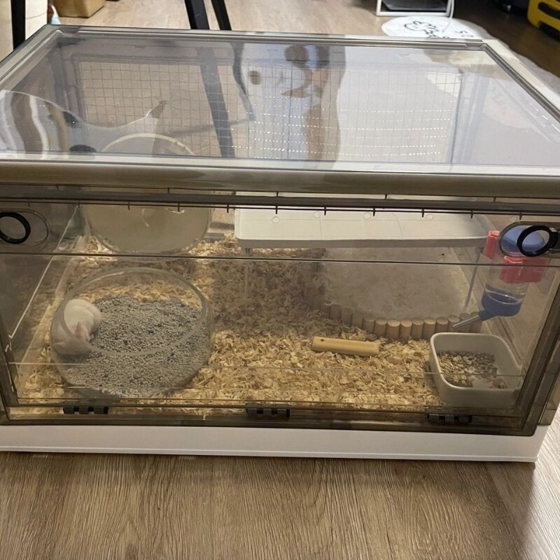 透明小宠饲养箱仓鼠透明笼子仓鼠超大容量可折叠鼠鼠笼子透气箱