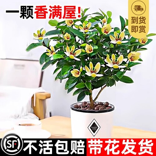 基地直销 新品特惠