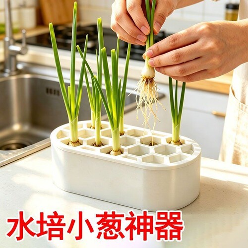 水培蔬菜种植葱花大蒜生菜水培箱家庭室内阳台无公害水培器培育盒