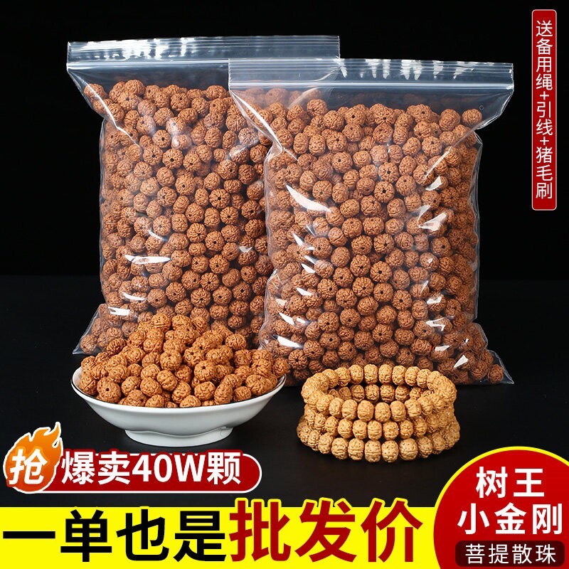印尼树王爆肉小金刚散珠手工DIY串珠原籽核桃文玩盘玩佛珠手串