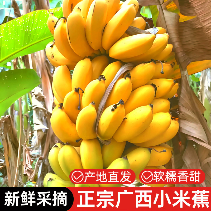 ���ڹ���С�׽��㽶����ˮ����������ƻ����С�㽶�Ž����� 3�� 12.9Ԫ