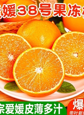 四川眉山正宗爱媛38号果冻橙皮薄多汁现采直发应季水果甜橙采摘