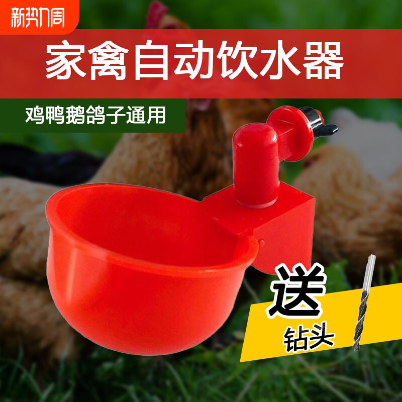 鸽子用自动饮水器饮水碗养鸡鸡鸭鹅家禽养殖专用鸟小鸡喂水碗新款