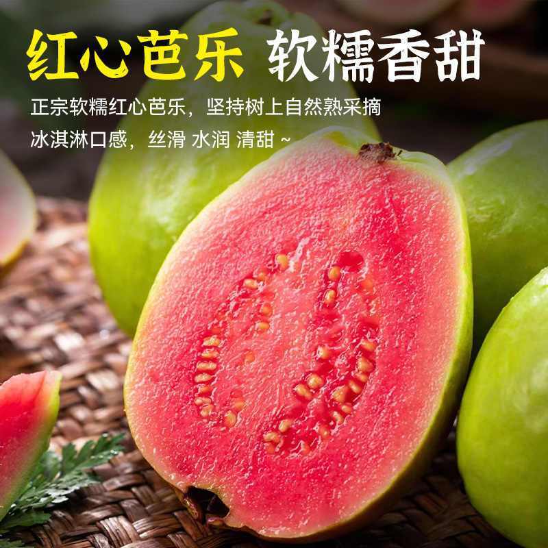 正宗广东红心芭乐应季水果软糯现摘番石榴奶油芭乐整箱批发芭乐