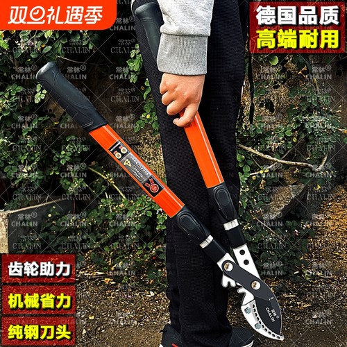 剪刀修剪树枝果树剪园林大号枝粗枝剪强力剪子修枝剪刀剪枝钳子伸