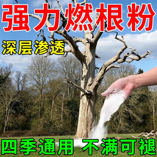 枯i死i专用药正品通用型杂草专用竹子腐燃腐蚀剂树园艺肥料S强力