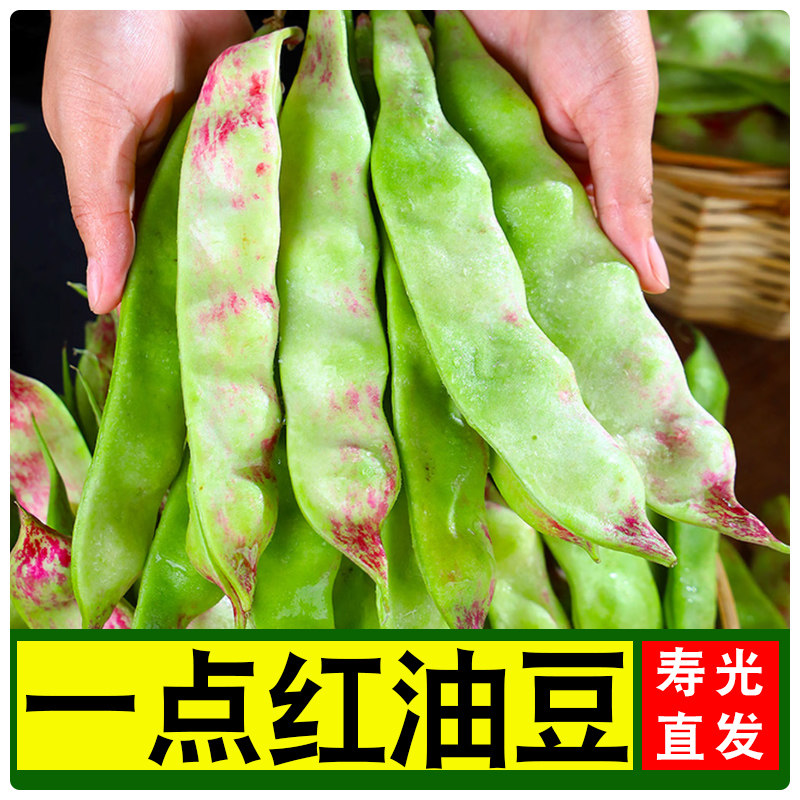 正宗山东油豆角现摘新鲜一点红油豆角农家自种新鲜油豆