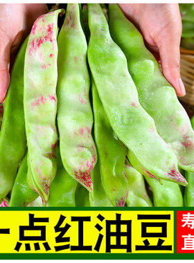 新鲜油豆角产地直发包邮