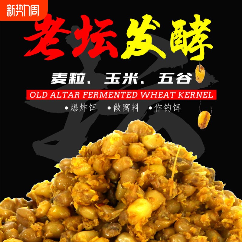 钓鱼饵料窝料发酵玉米粒老坛玉米野钓鲤鱼草鱼打窝料鲫鱼饵料窝料