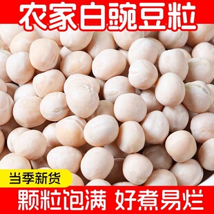 云南白豌豆农家生豌豆批发重庆小面配料豌豆粒花生健康杂粮新货