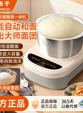 扬子家用小型全自动和面机正品