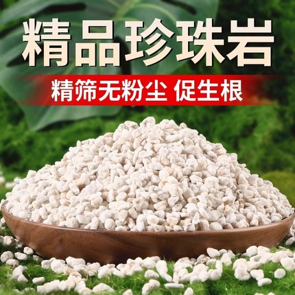 兰花专用珍珠岩大颗粒蝴蝶兰养花植料膨胀硬质园艺营养土大粒种植