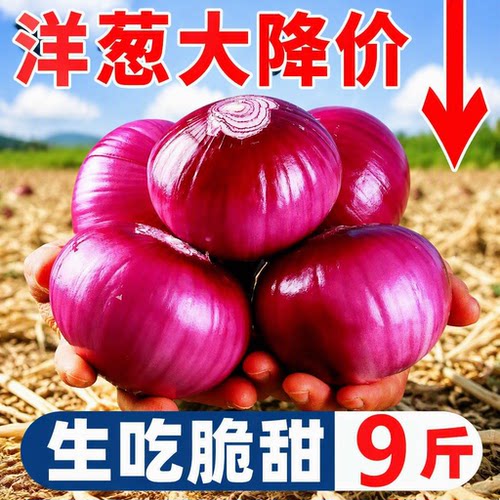 2026云南红皮洋葱新鲜现挖脆嫩紫皮洋葱当季蔬菜圆葱头自种保存