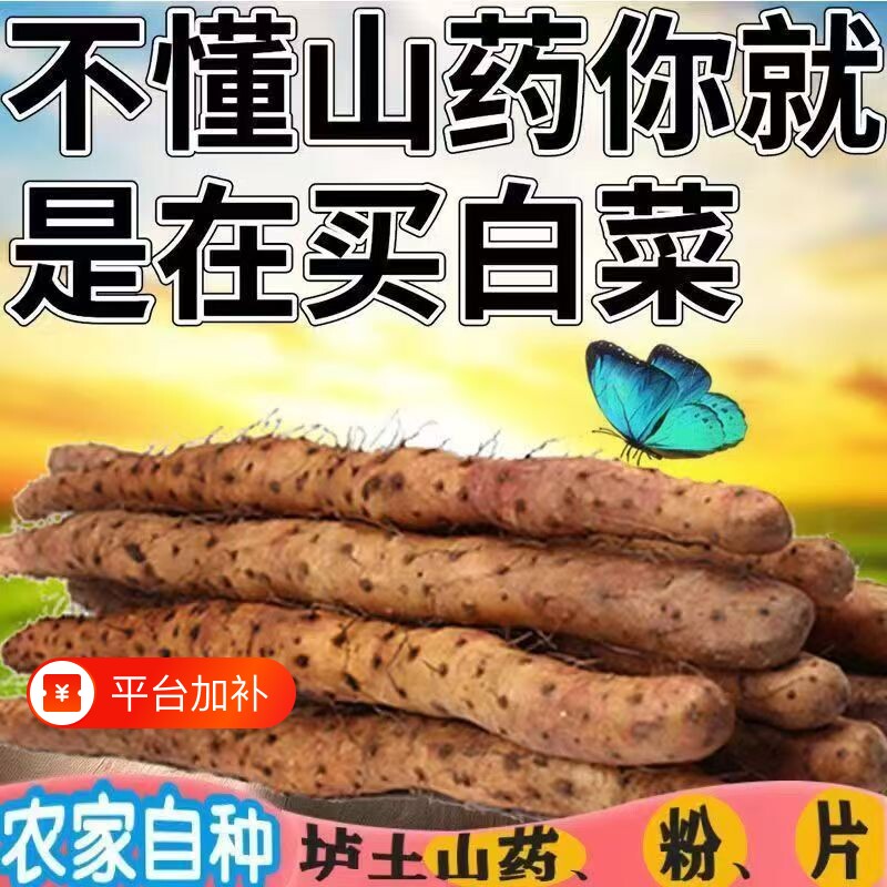 【新鲜采挖】正宗铁棍山药软糯甘甜新鲜铁杆淮山药现挖小白嘴山药