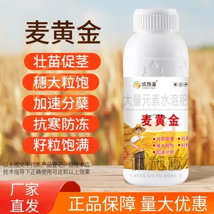 诚施富麦黄金专用增产小麦子壮苗籽粒饱满抗倒伏促分蘖氮叶面肥料
