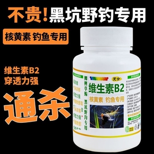 维生素b2钓鱼专用钓鱼小药氨基酸核黄素维生素B2泡酒米底窝料诱