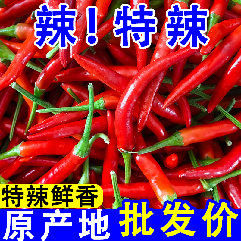 云南高山小米辣椒特香特辣