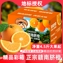 正宗江西赣南脐橙净重4.5斤大果新鲜水果橙子果王 赣州直发