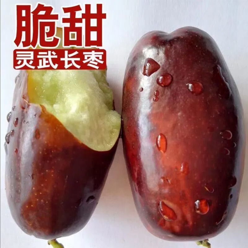 宁夏灵武长枣新鲜水果脆甜孕妇红枣子大果当季冬枣现摘彩箱