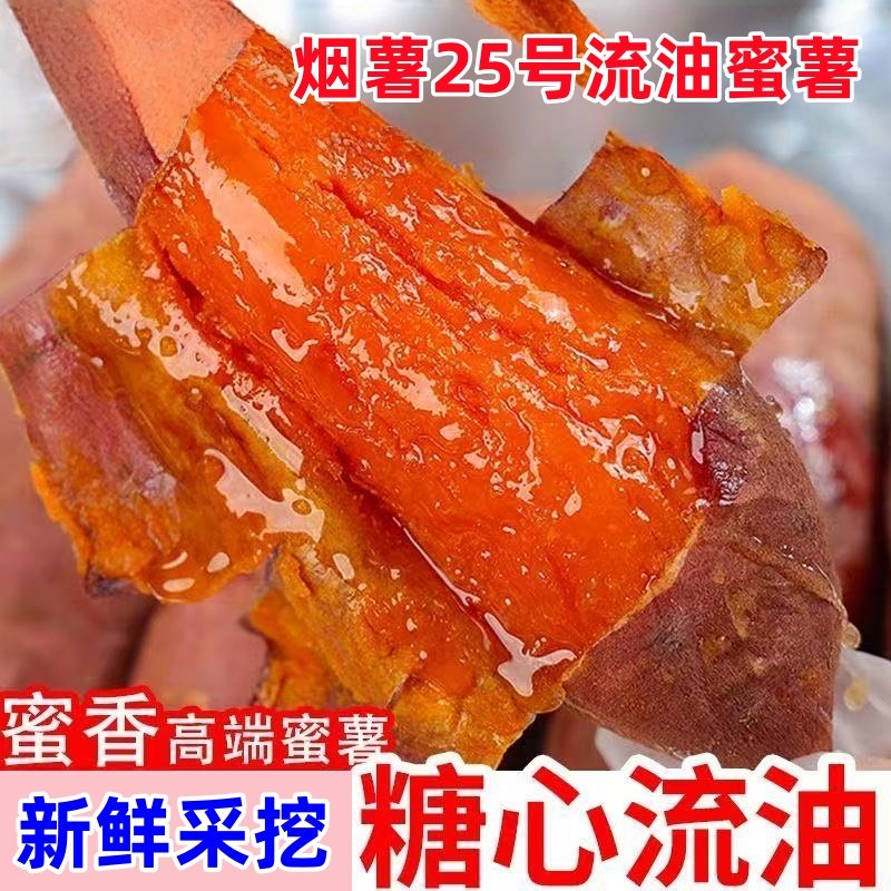 山东烟薯25号蜜薯烤地瓜红薯烤薯专用现挖甜蜜流油农家自种