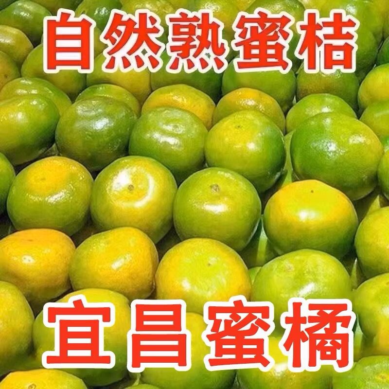 早熟柑橘宜昌蜜桔橘子新鲜10斤水果应季青皮桔子孕妇酸甜整箱蜜橘