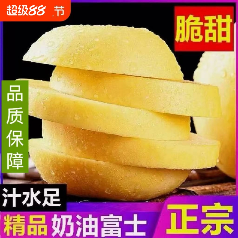 山东烟台黄金奶油富士苹果冰糖心脆甜多汁新鲜水果现摘现发