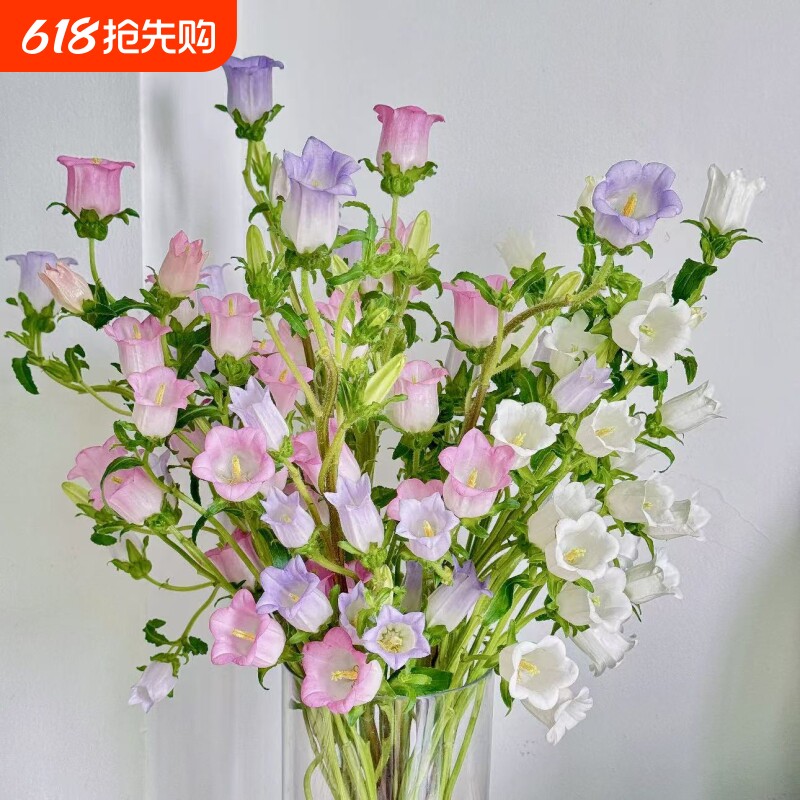 风铃鲜花真花直发云南插花水养基地水培鲜切客厅摆设花束卧室开花