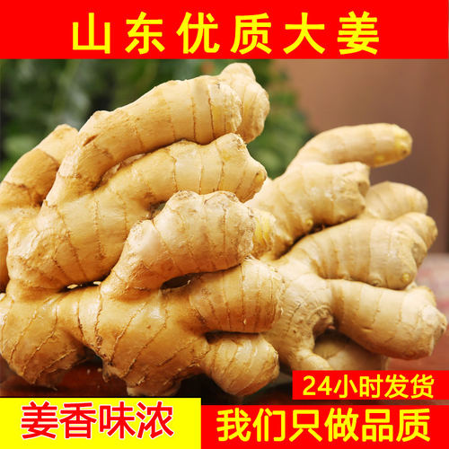 山东大姜优质生姜老姜月子