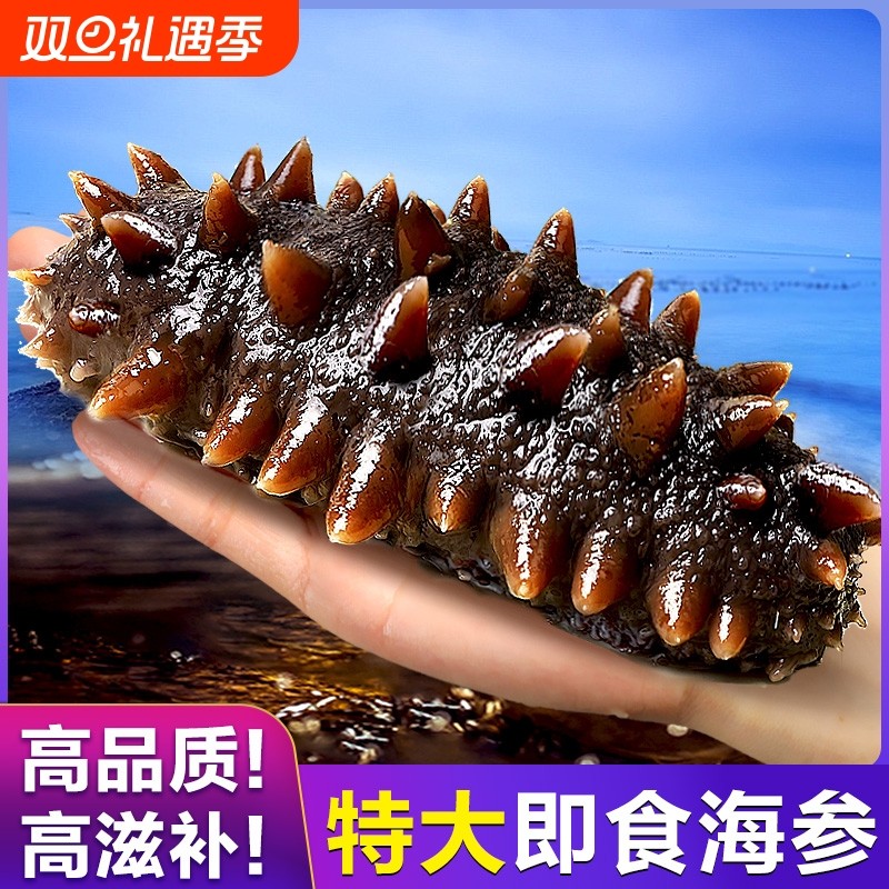 深海海参大连即食淡干刺参新鲜大只鲜活速食辽参海鲜水产冷冻滋补