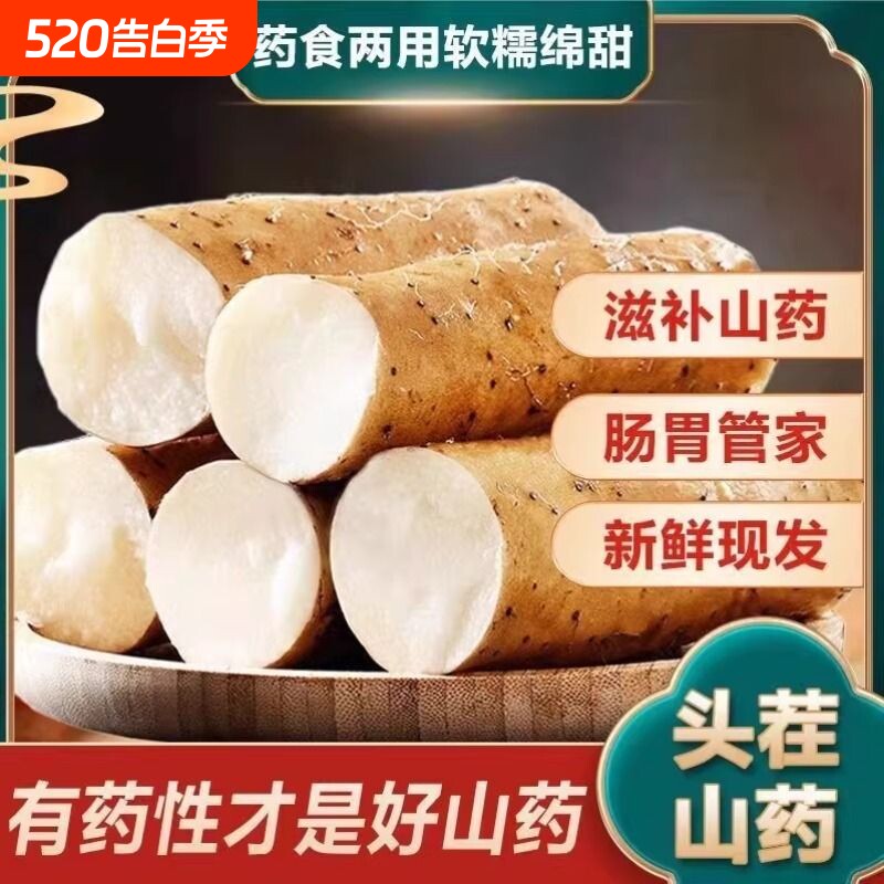 农户直发铁棍山药山药小白嘴山药粗软香面新鲜蔬菜山药五斤净重
